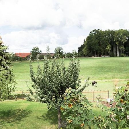 Naturidyl Schneckenbuch Weissensberg Extérieur photo